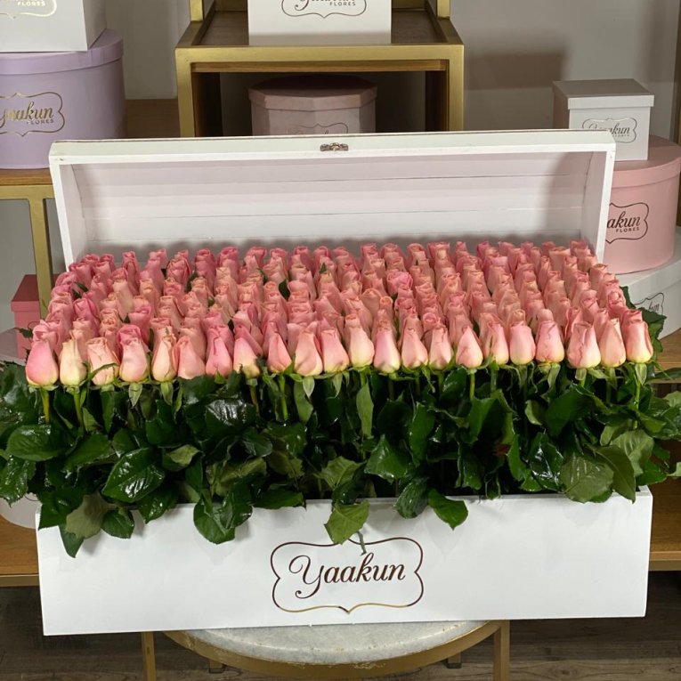 Mega cofre blanco con 240 rosas hermosas