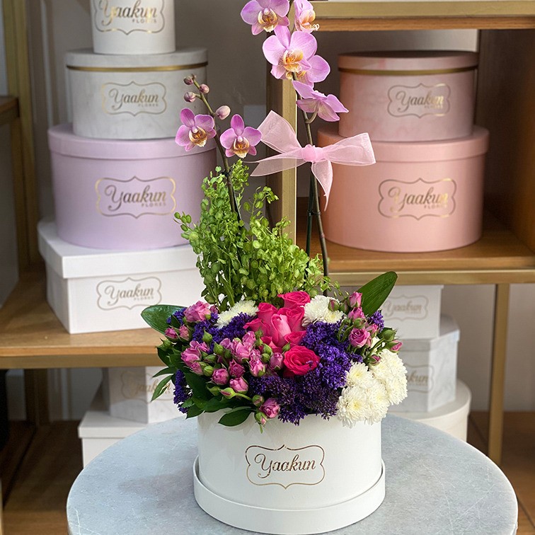 Orquídeas en caja circular blanca