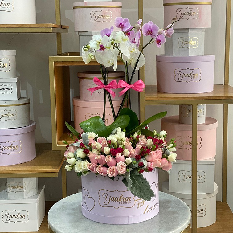 Orquídeas en caja circular lila edición especial yaakun