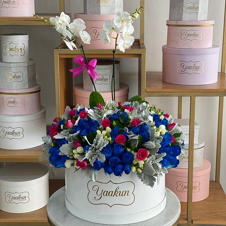 Orquídeas en caja grande blanca con rosas azules y follajes finos