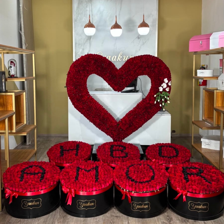 Paquete silueta corazon 1700 hdb