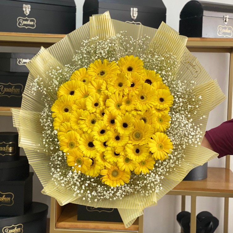 Ramo de 36 garberas amarillas y gypso con papel celofán