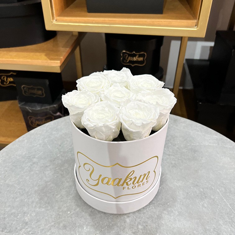 Rosas eternas caja circular mini con rosas blancas