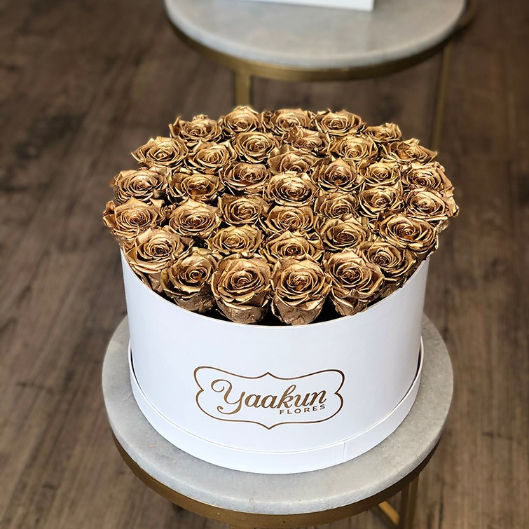 Rosas eternas en caja circular blanca amor gold