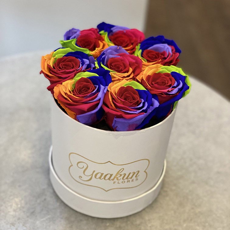 Rosas eternas en caja circular blanca chica arcoiris intenso
