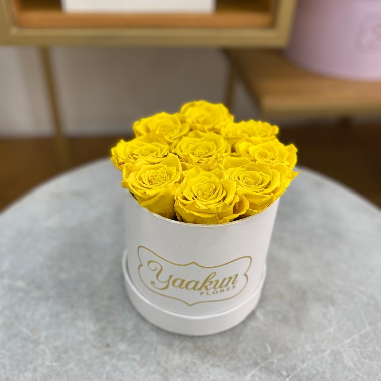 Rosas eternas en caja circular blanca chica con rosas amarillas