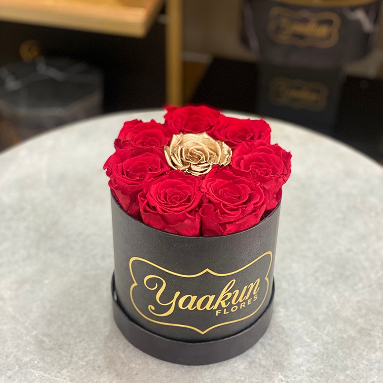 Rosas eternas en caja circular negra chica red & gold