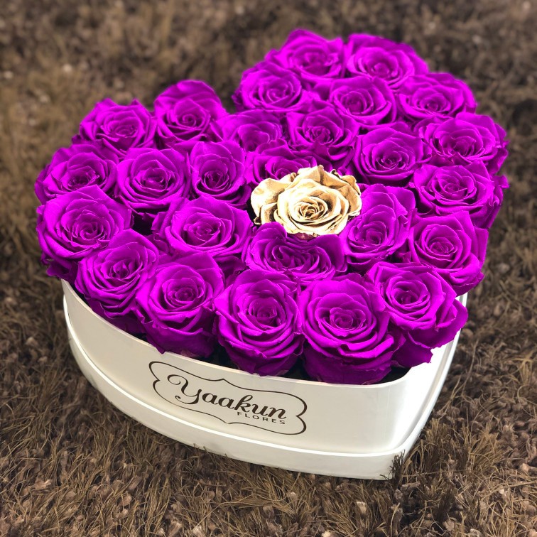 Rosas eternas en caja corazón blanco rosa morada y una dorada al centro