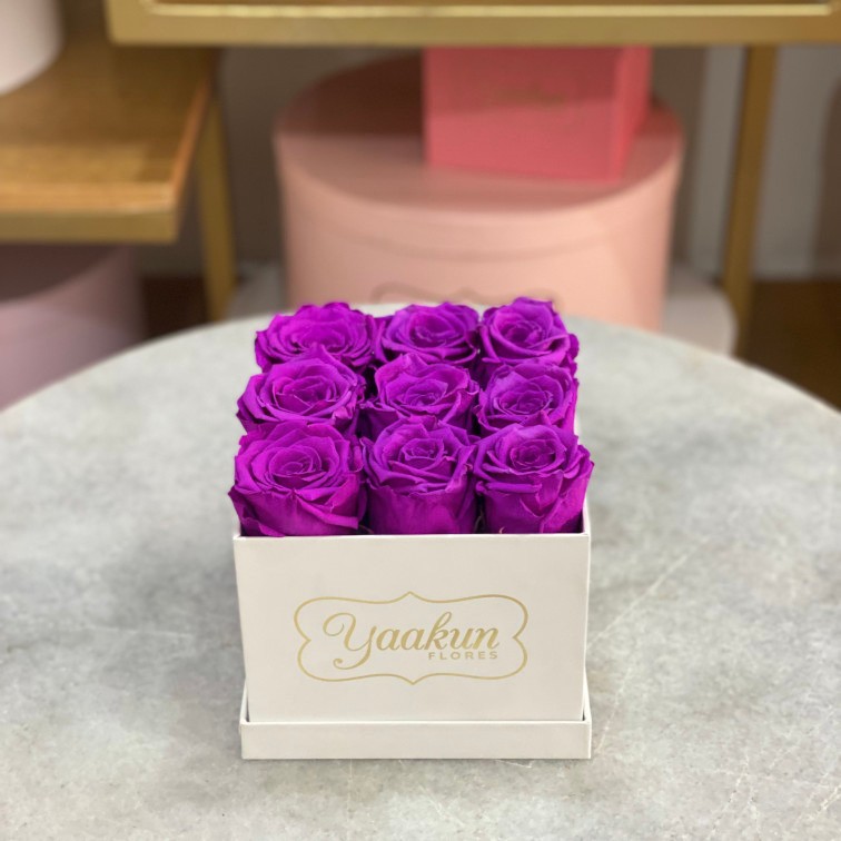 Rosas eternas en caja cuadrada blanca mini con rosas magenta