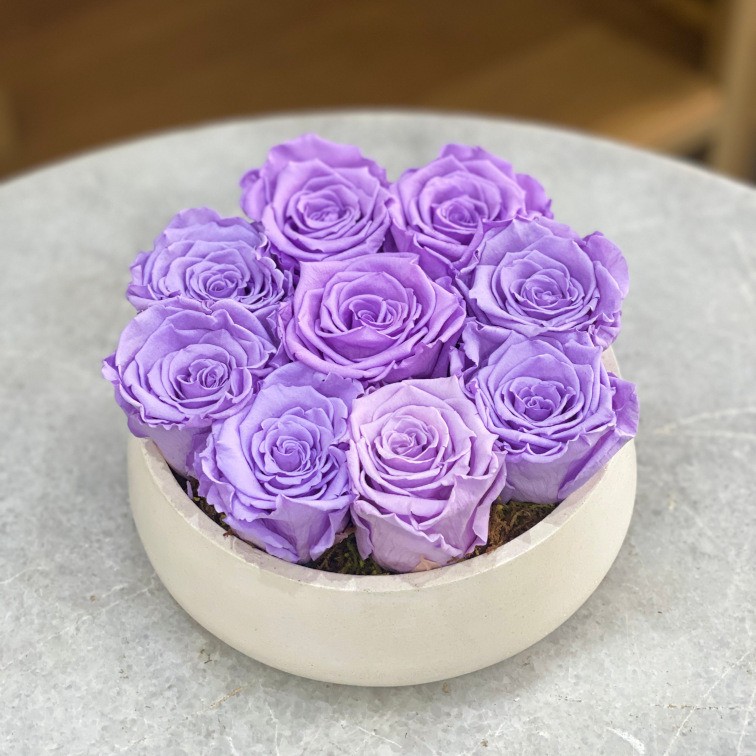 Rosas eternas en tazon chico rosas lilas