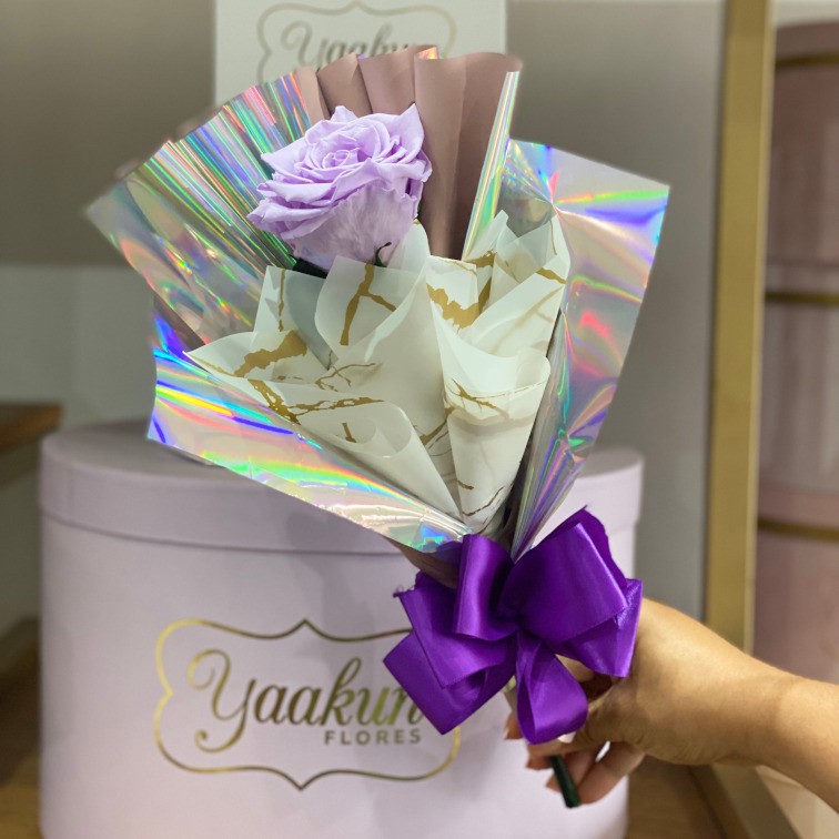 Tallo de rosa eterna lila con papel celofán